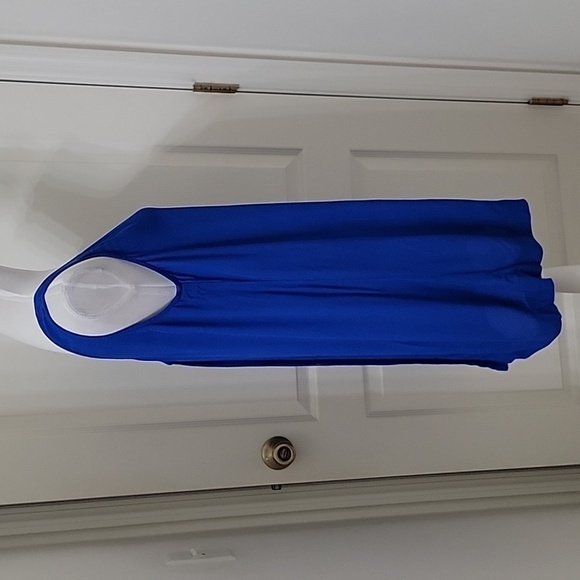 Madewell Size L Royal Blue Lakeshore Button-Back Shift Dress, Sleeveless, GUC - Picture 6 of 13